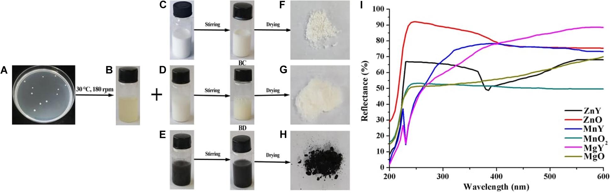 Mgo zno реакция. Наночастицы ZNO. ZNO датчик. Mno2 Synthesis nanoartiles. Metal Nanoparticles.