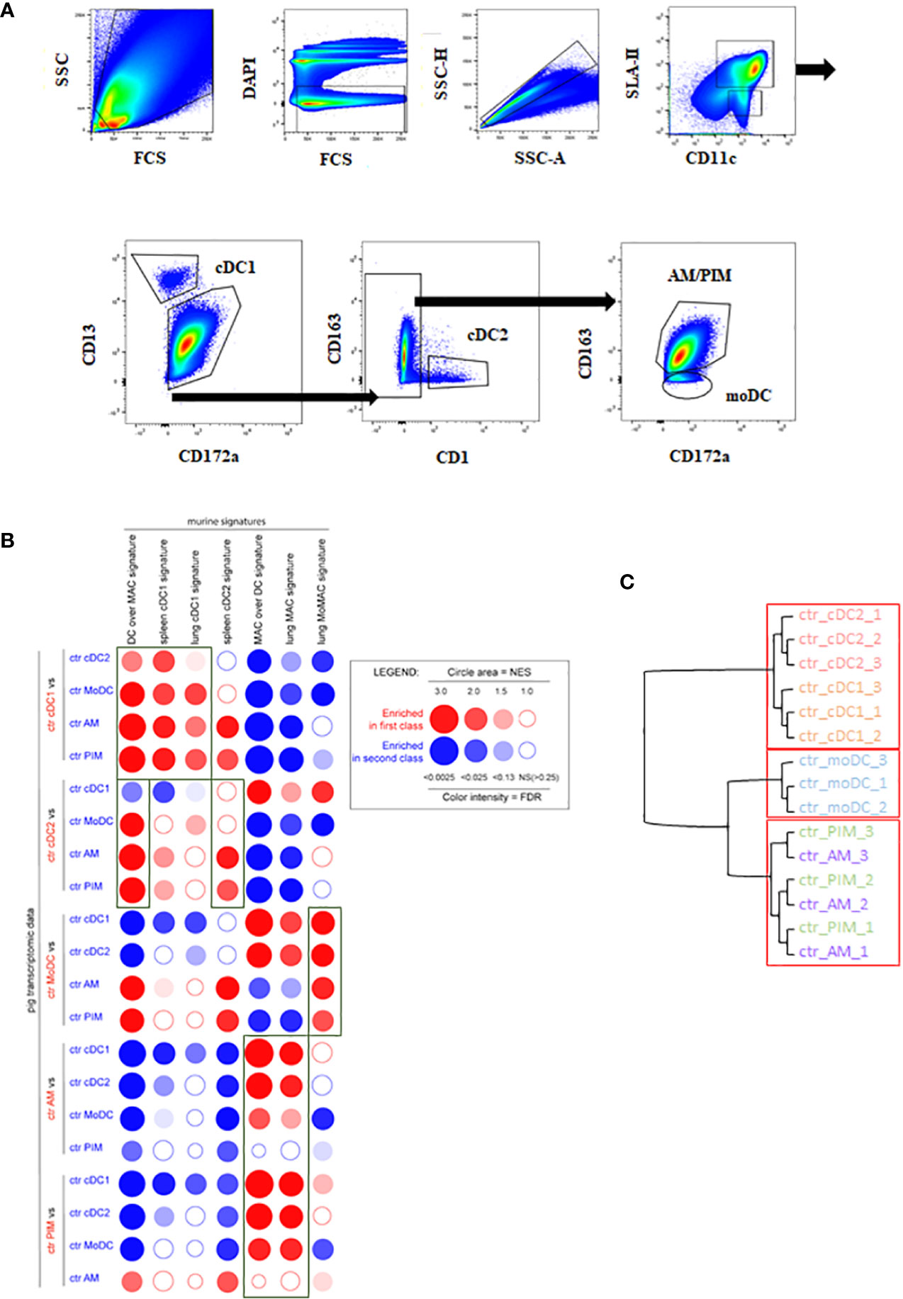 Tips and tricks for performing RNA-seq analyses in IPA - tv