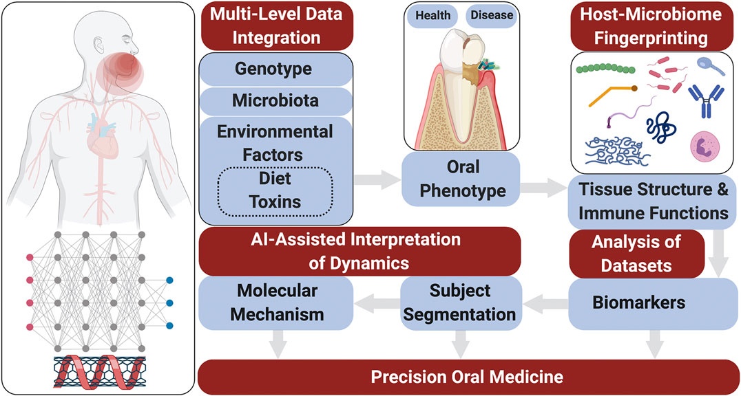 Frontiers Biosensor And Lab On A Chip Biomarker Identifying Technologies For Oral And Periodontal Diseases Pharmacology