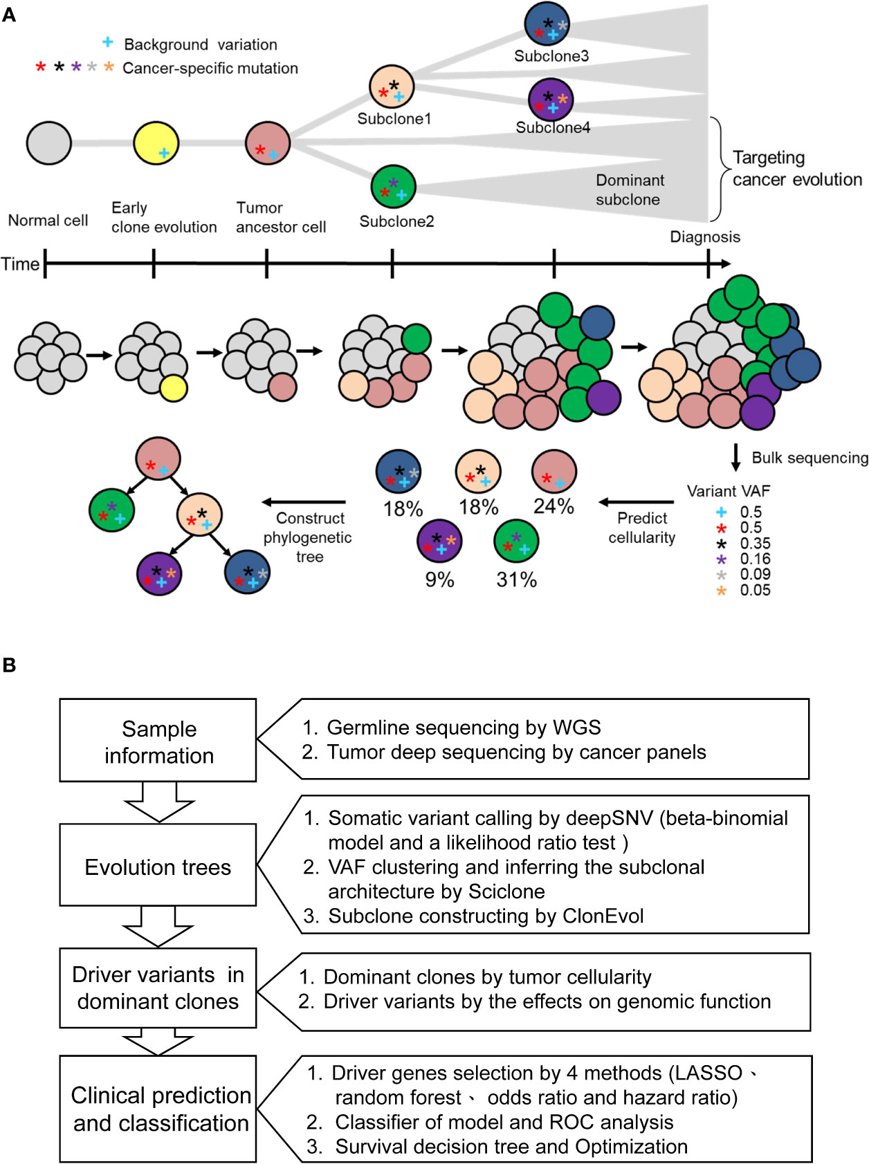 cancer intratumor genetic heterogeneity
