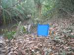 www.frontiersin.org