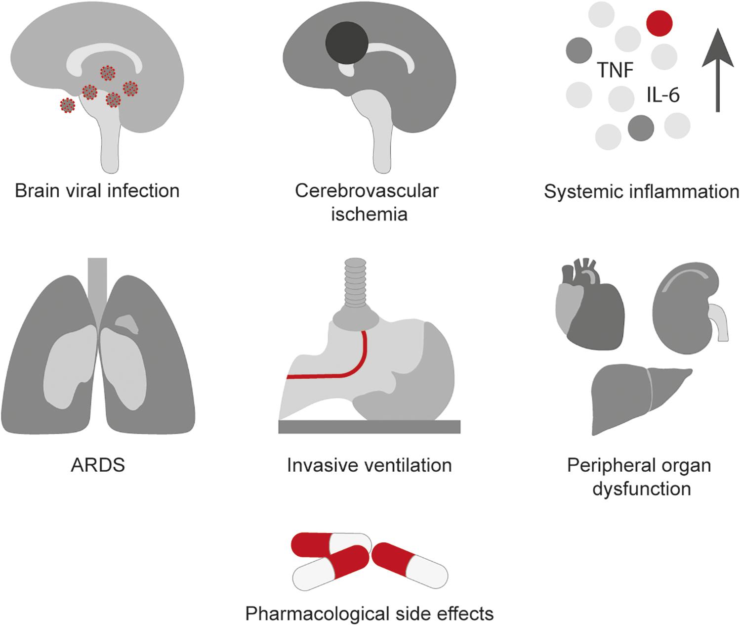 clinical presentation of covid 19 in dementia patients