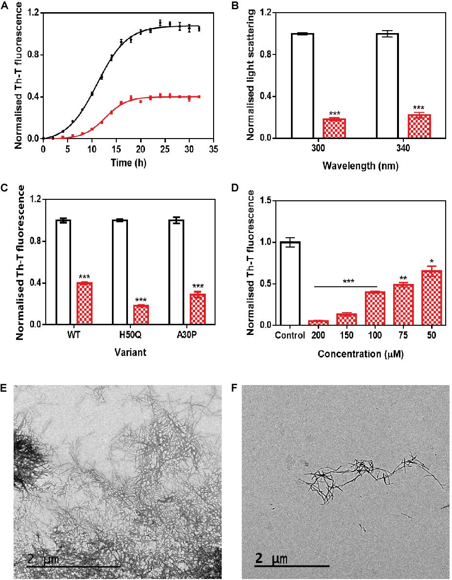 Frontiers  Inhibition of α-Synuclein Aggregation and Mature Fibril  Disassembling With a Minimalistic Compound, ZPDm