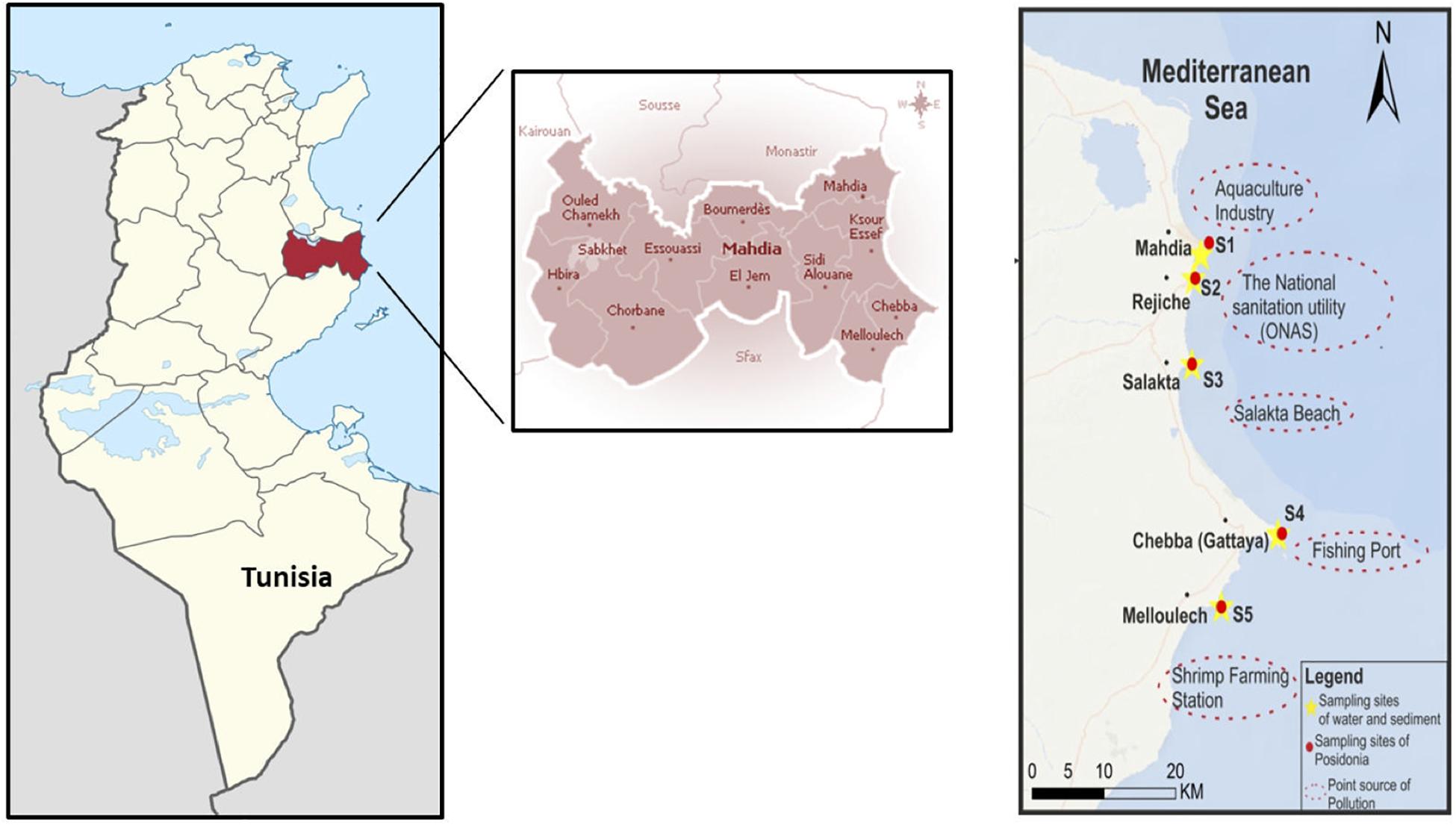 www.frontiersin.org