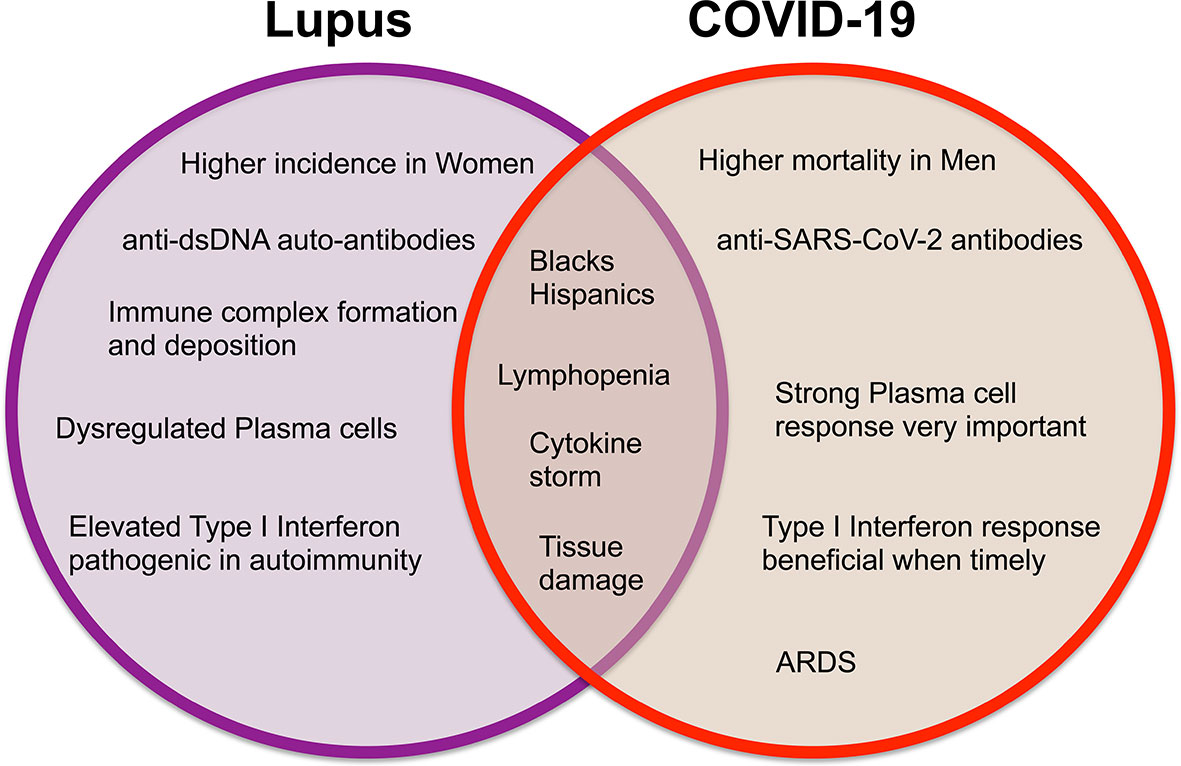 research on lupus erythematosus