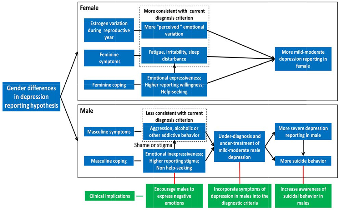 hypothesis on gender stereotypes