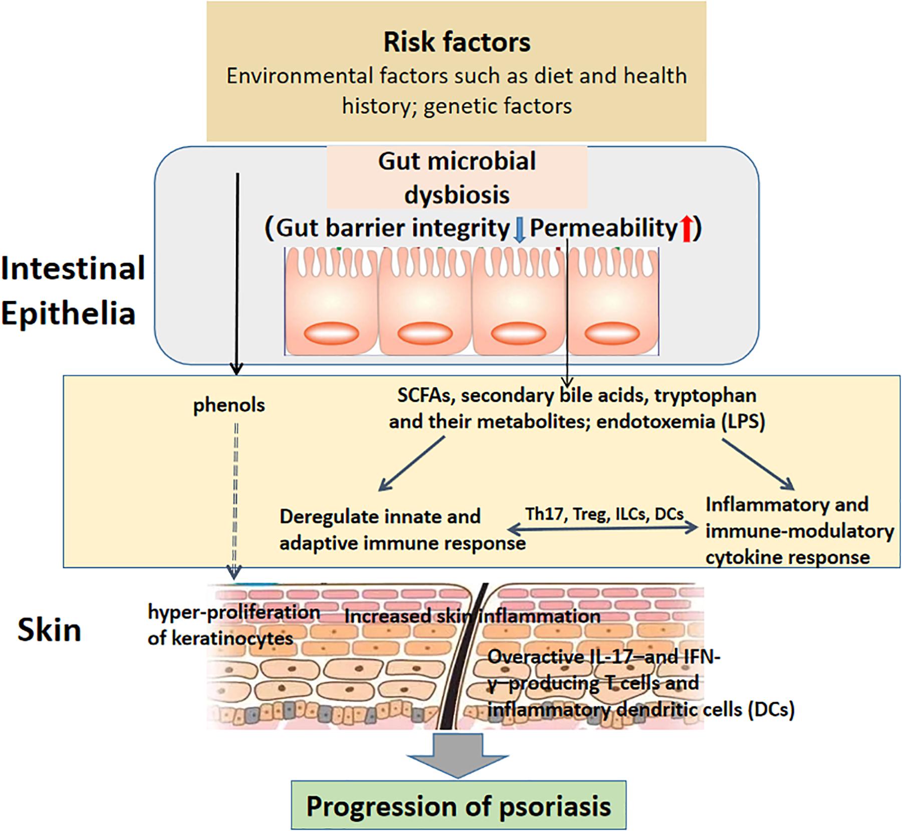 Dysbiosis psoriasis, Dysbiosis means
