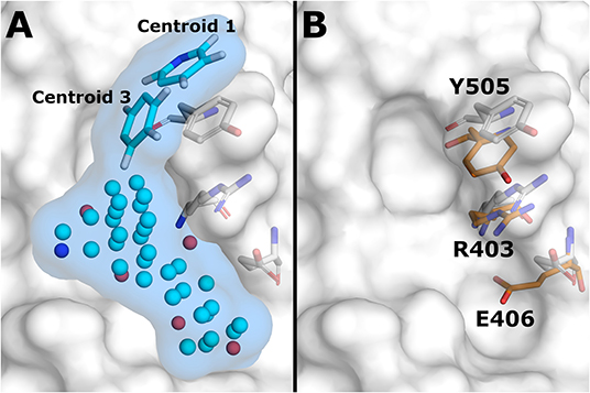 Frontiers Screening Of Natural Products Targeting Sars Cov 2 Ace2 Receptor Interface A Mixmd Based Htvs Pipeline Chemistry