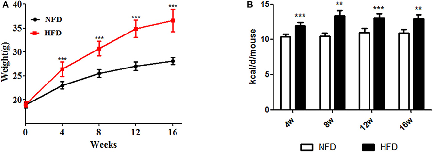 Relative gene expression (± SE) of 18 candidate genes by RT-qPCR