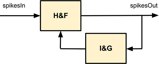 www.frontiersin.org