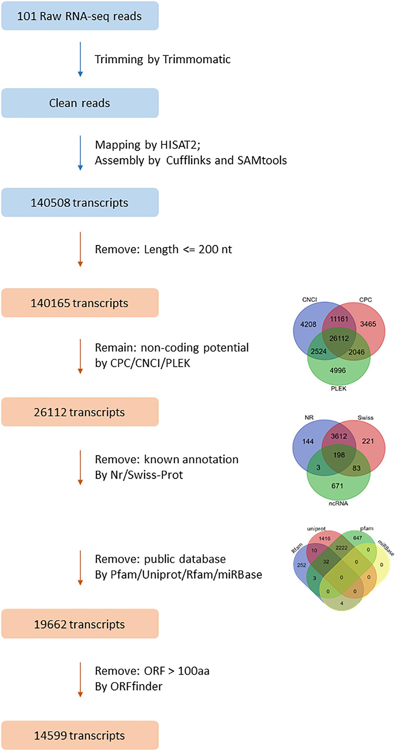 Characterization of long noncoding RNA and messenger RNA