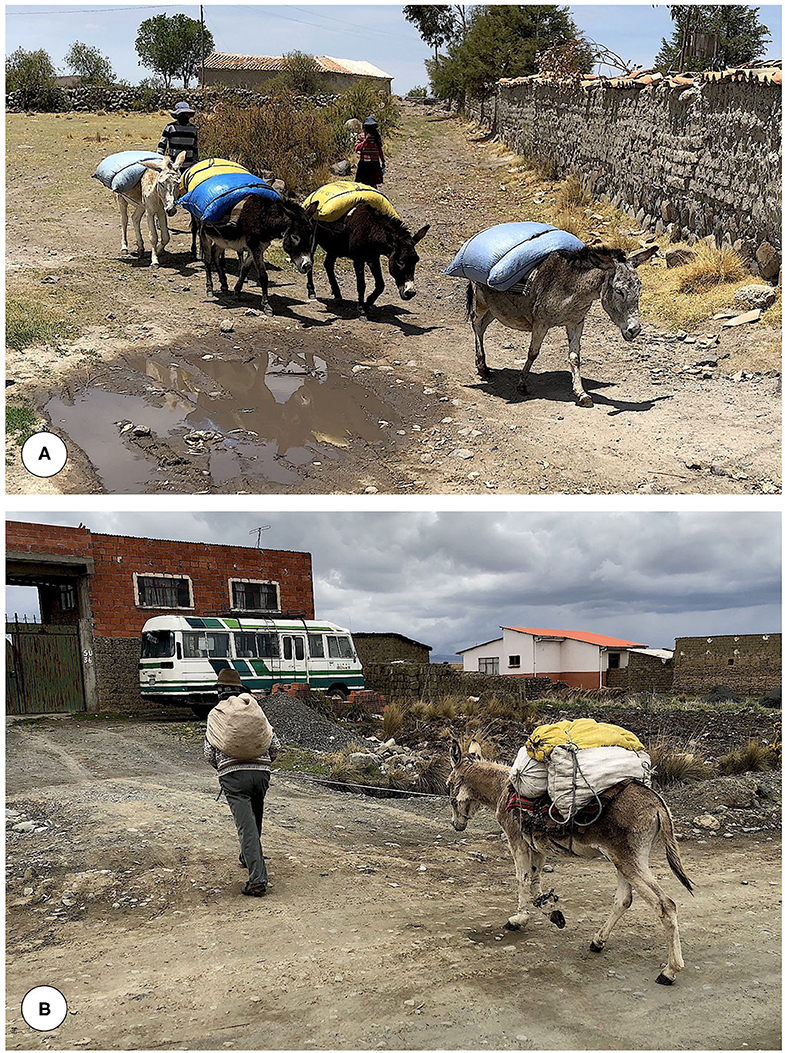 www.frontiersin.org