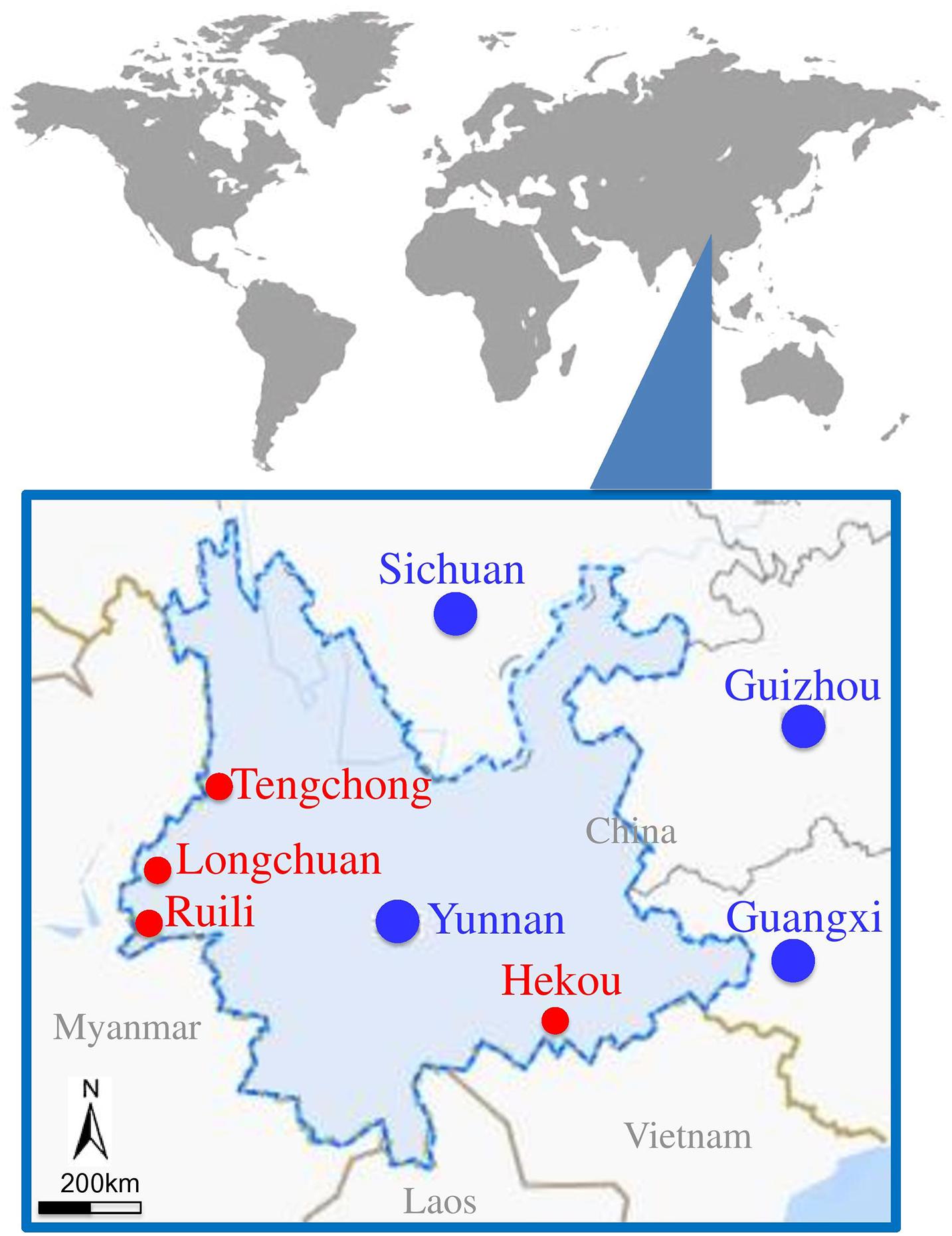 www.frontiersin.org
