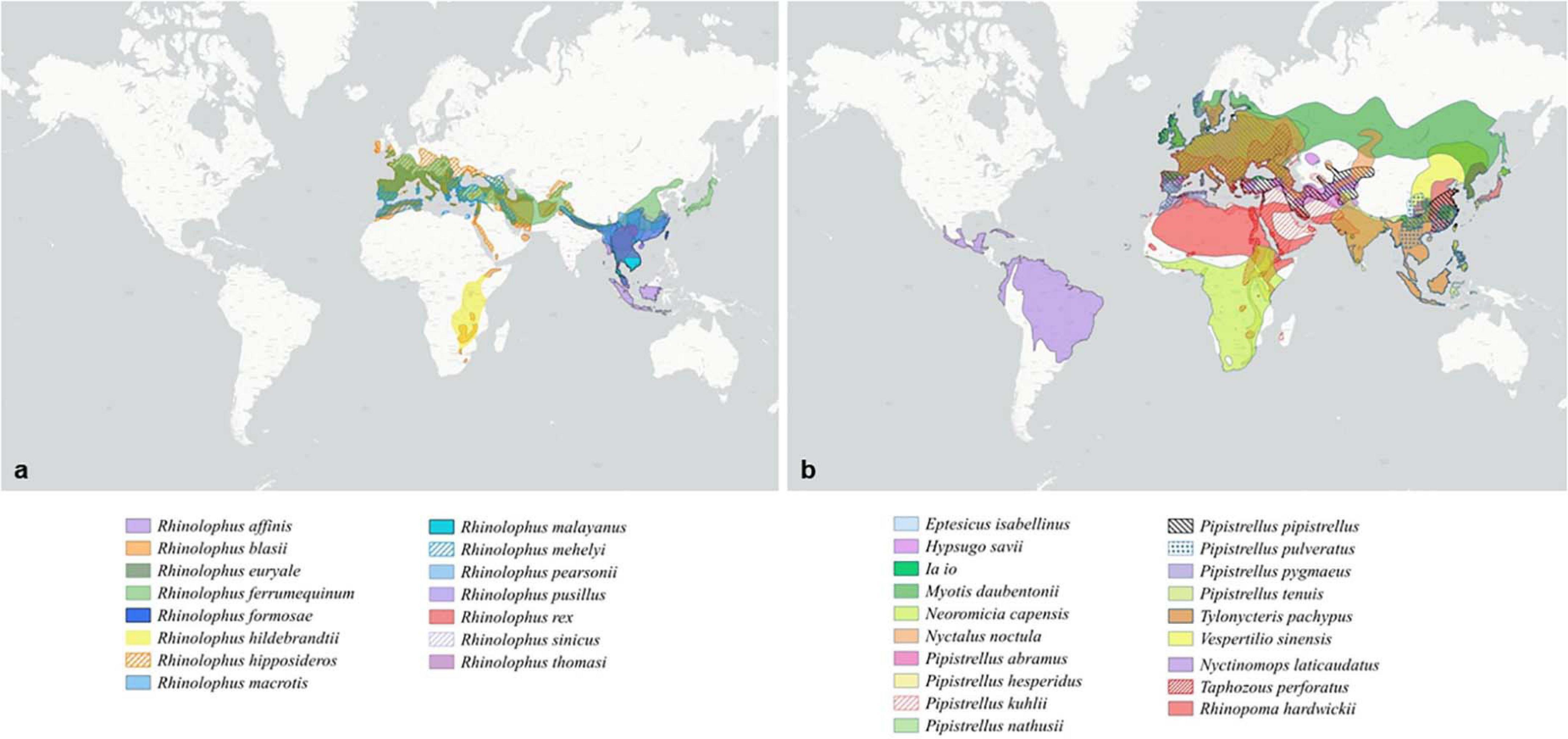 Phylogenetic analysis of bat betacoronavirus (A) and bat rotavirus (RV)