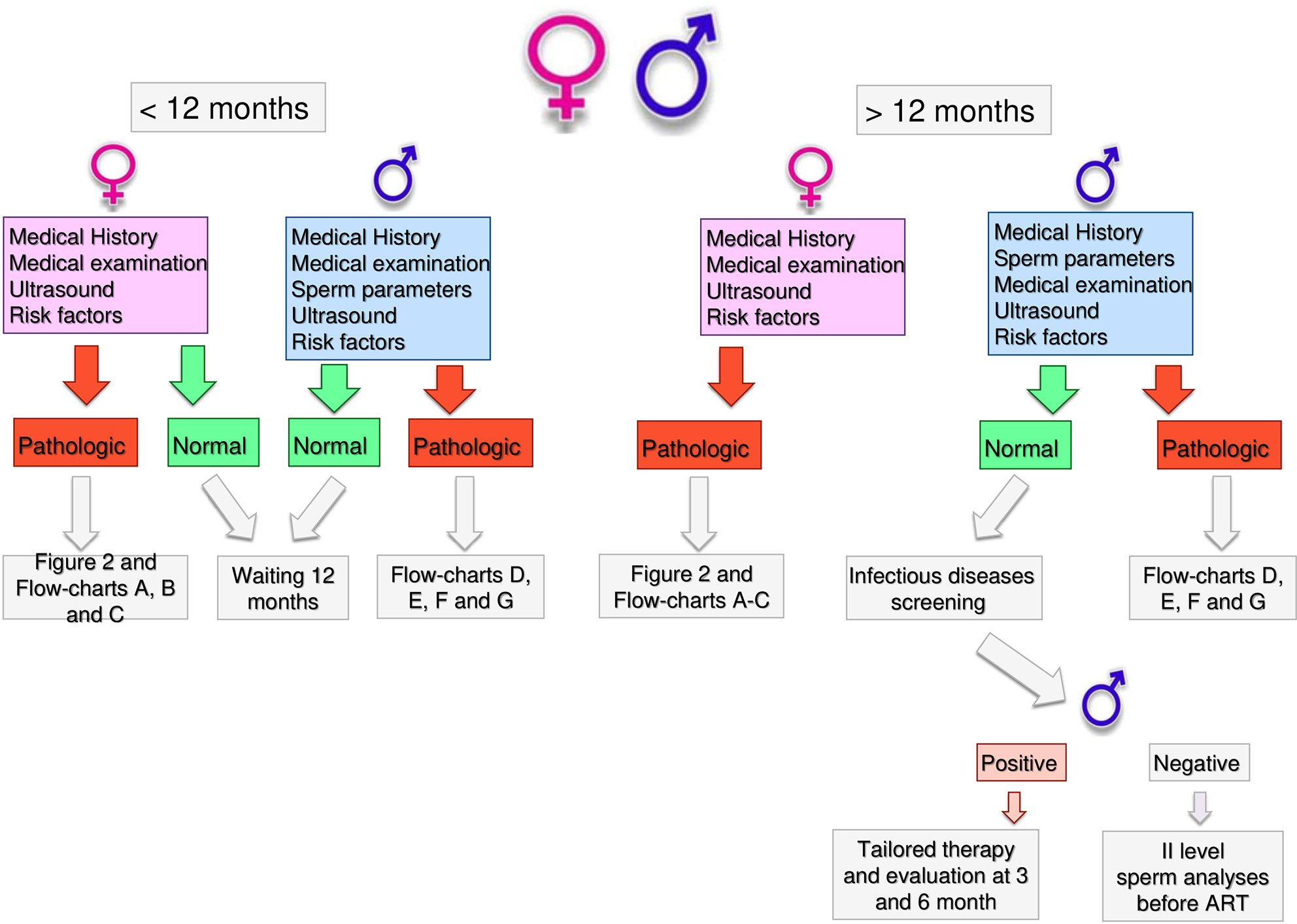 Frontiers  Practical Clinical and Diagnostic Pathway for the Investigation  of the Infertile Couple