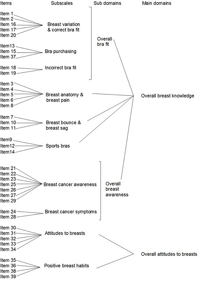 Frontiers  Breast Education Improves Adolescent Girls' Breast Knowledge,  Attitudes to Breasts and Engagement With Positive Breast Habits