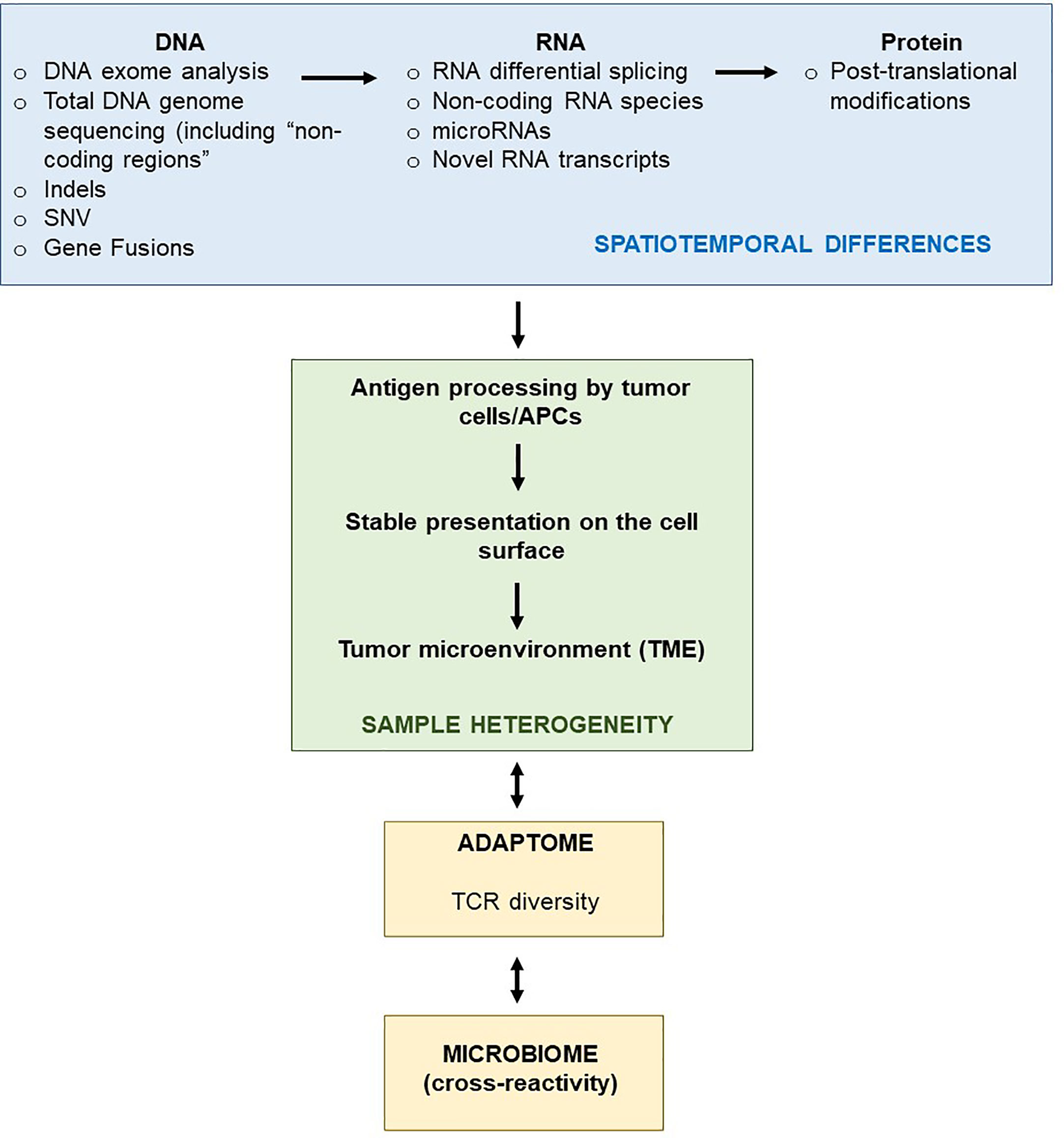 Intro to Immunology: The immune repertoire and adaptome