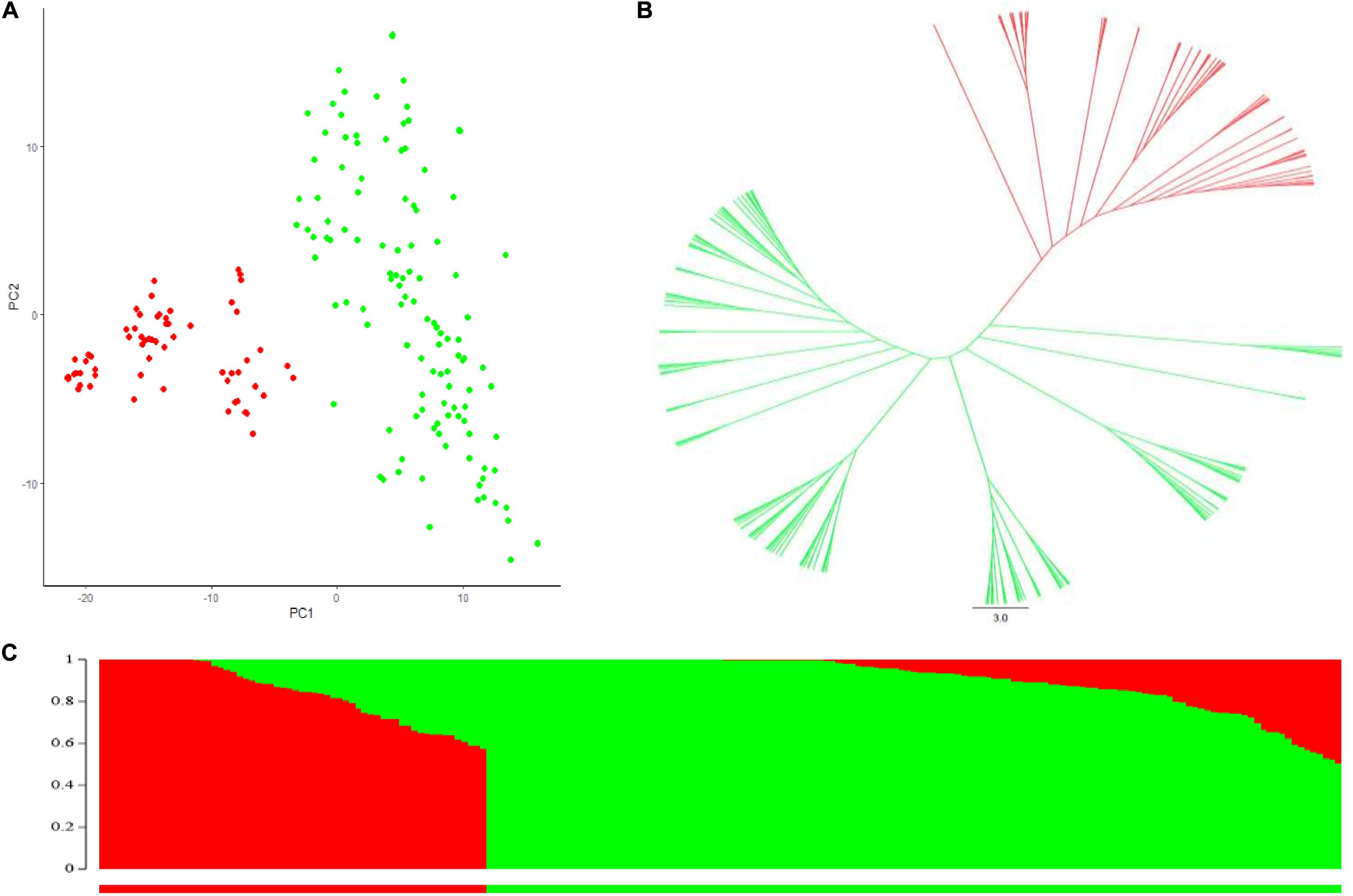 ophobe vitalitet Mantle Frontiers | Characterization of the Genetic Architecture for Fusarium Head  Blight Resistance in Durum Wheat: The Complex Association of Resistance,  Flowering Time, and Height Genes | Plant Science