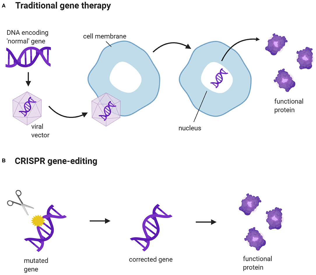 CRISPR Gene Editing Liability Insurance: Mitigating Genetic Intervention Risks