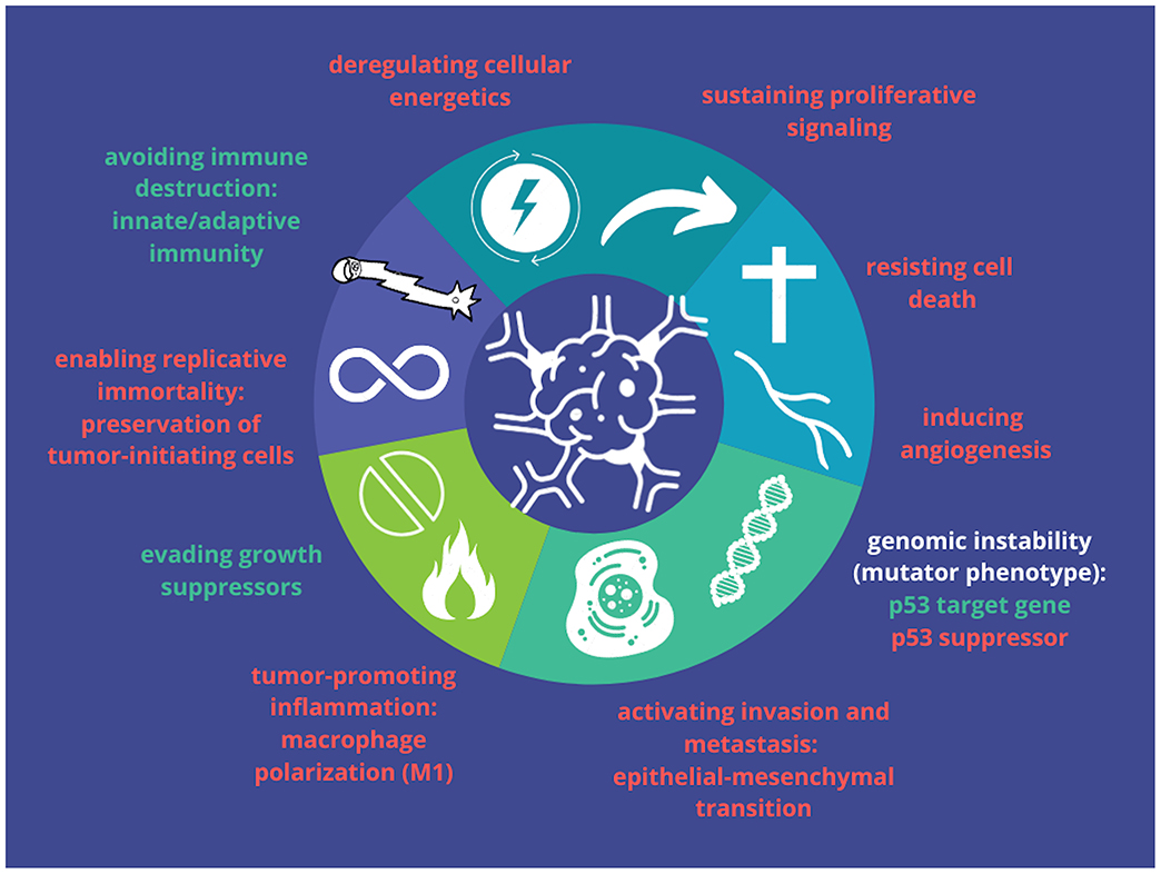 Frontiers  Functional Gene Expression Differentiation of the