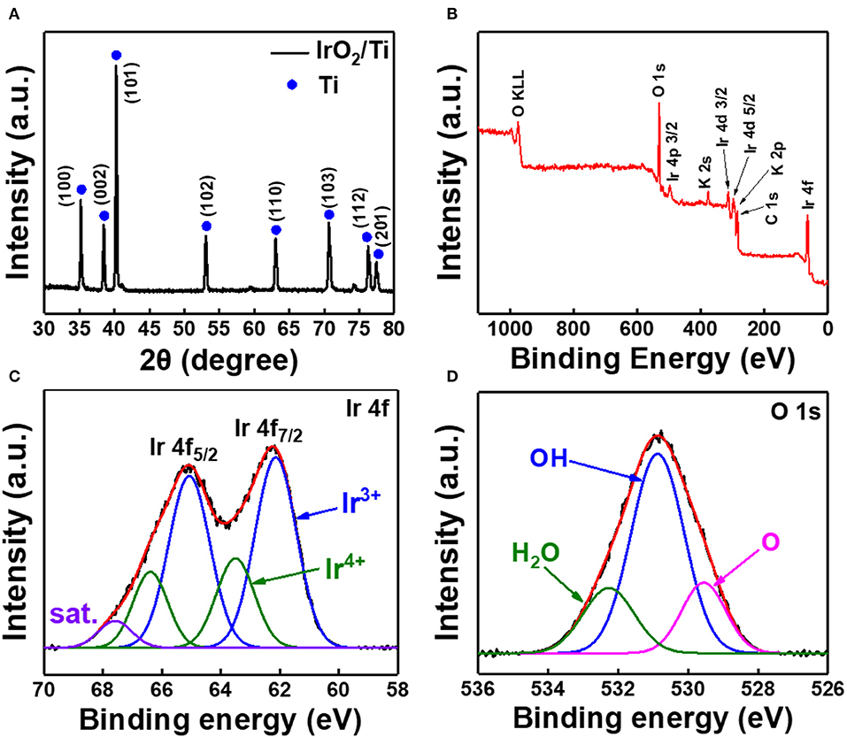 Study of oxygen evolution reaction on thermally prepared xPtOy-(100-x)IrO2  electrodes