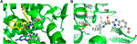 www.frontiersin.org