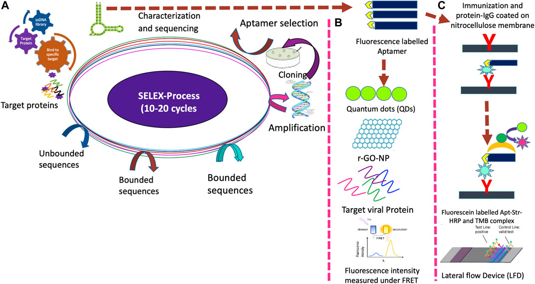 Advanced Point‐of‐Care Testing Technologies for Human Acute