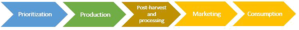 www.frontiersin.org