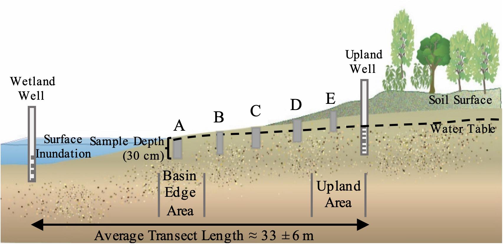 Edge the pristine influence under Ball milling