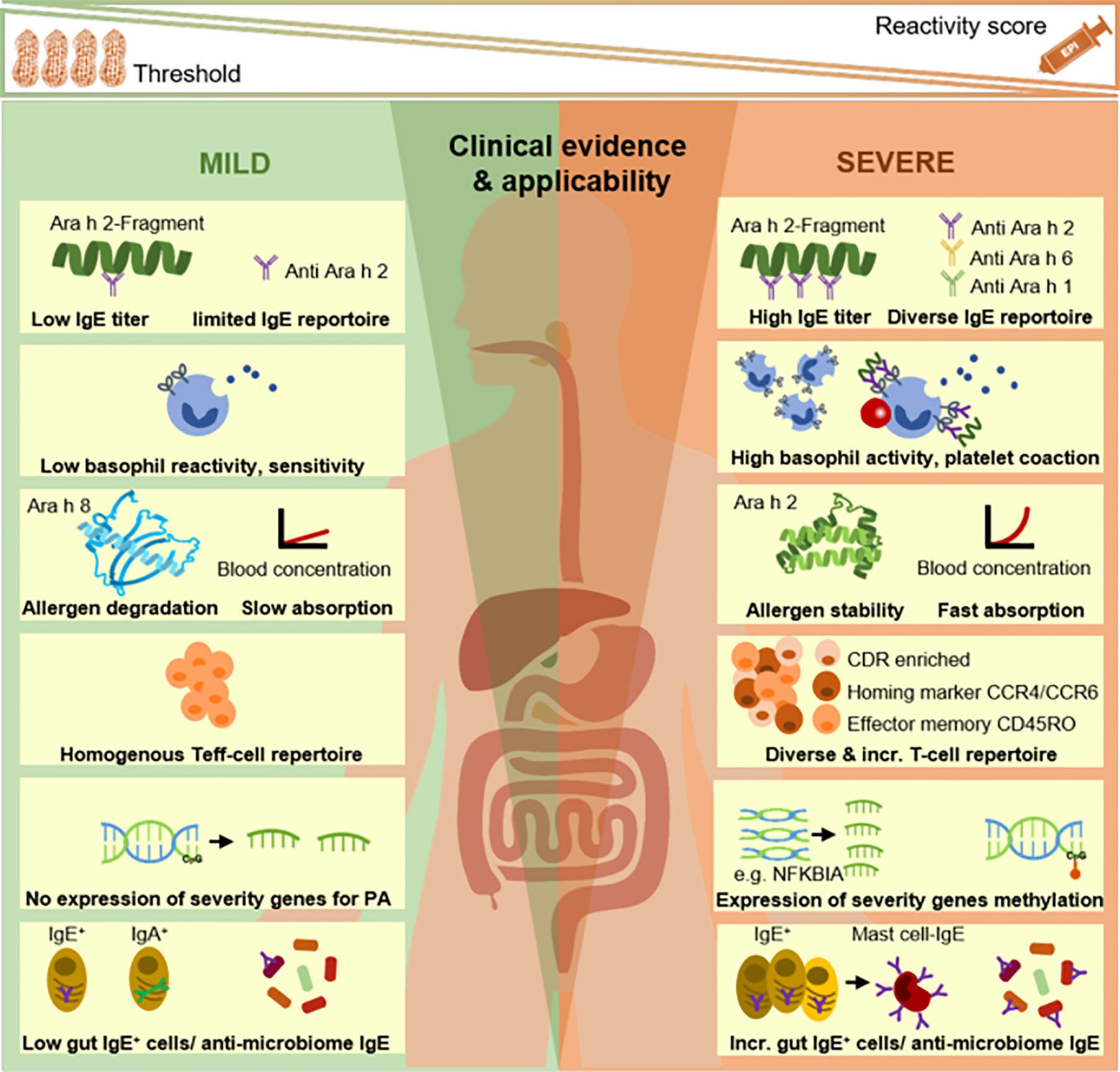 Frontiers | IgE-Mediated Peanut Allergy: Current and Predictive Clinical Phenotypes Multi-Omics Approaches