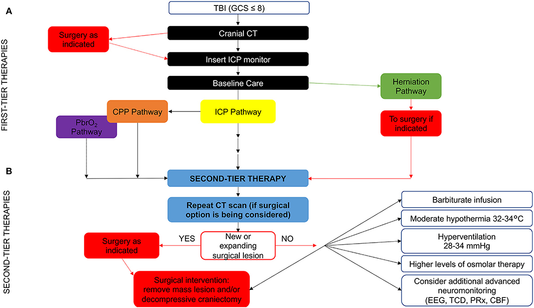 Letter to the Editor: Early seizure prophylaxis in pediatric severe  traumatic brain injury: still a long way to go in: Journal of Neurosurgery:  Pediatrics Volume 19 Issue 3 (2017) Journals