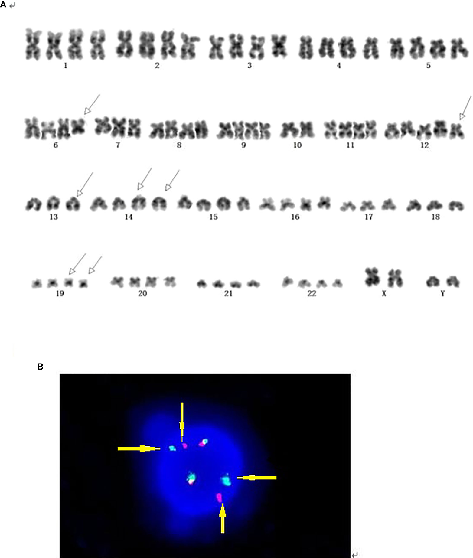 www.frontiersin.org