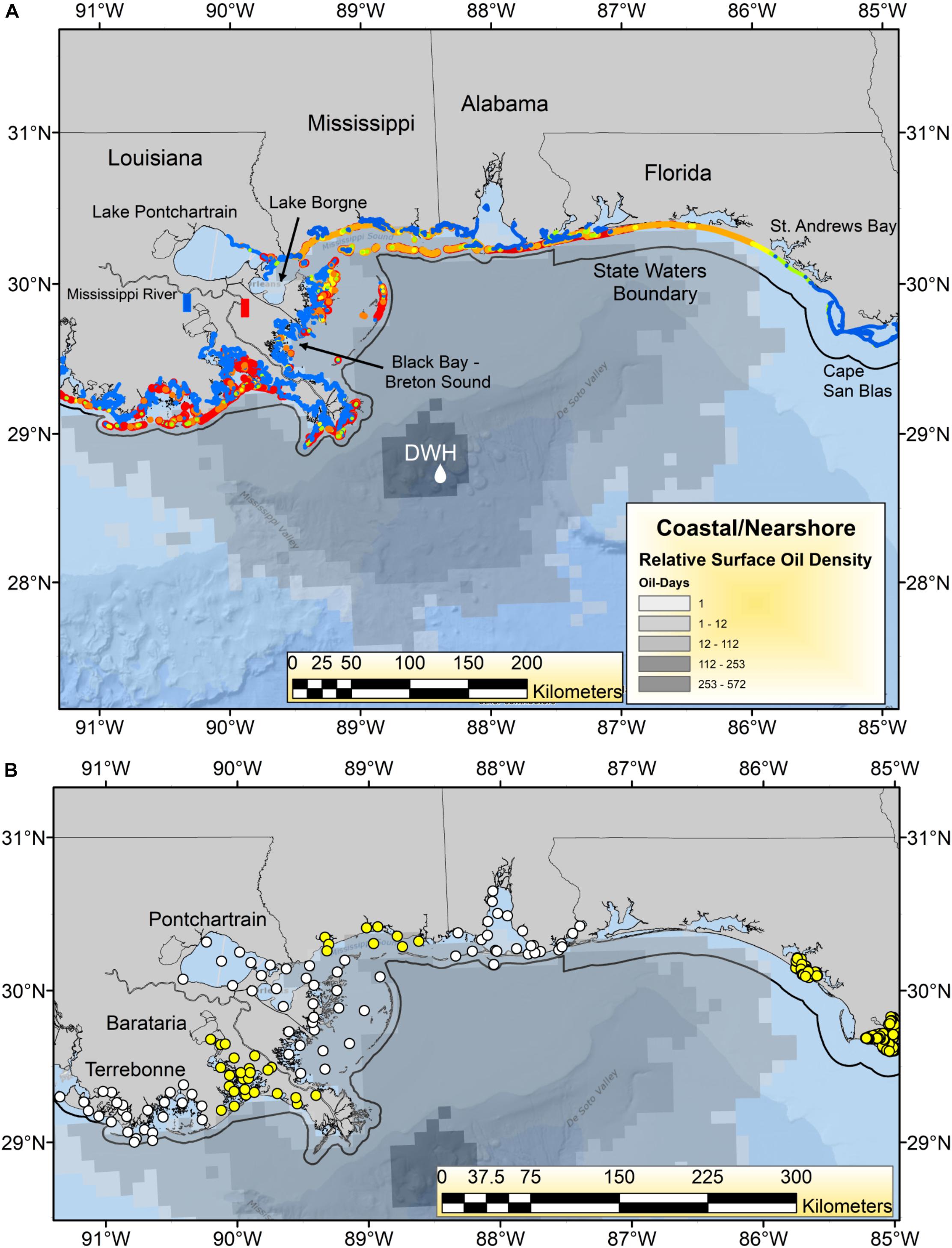 Frontiers A Synthesis of Deepwater Horizon Impacts on Coastal and Nearshore Living Marine Resources picture