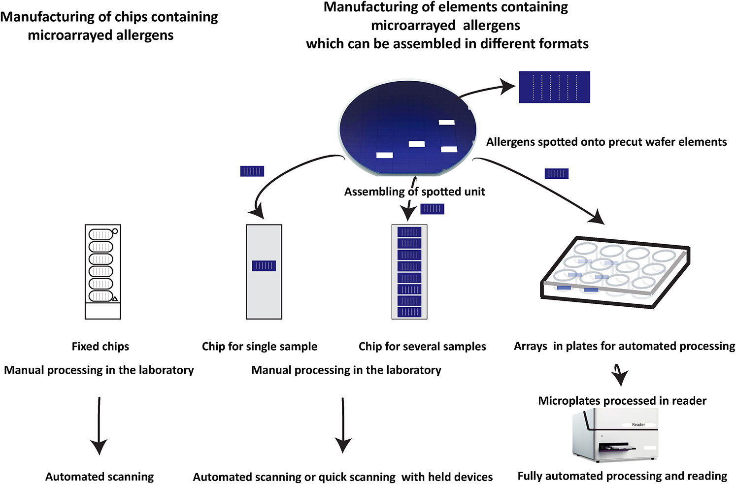 Frontiers  IgE Epitope Profiling for Allergy Diagnosis and