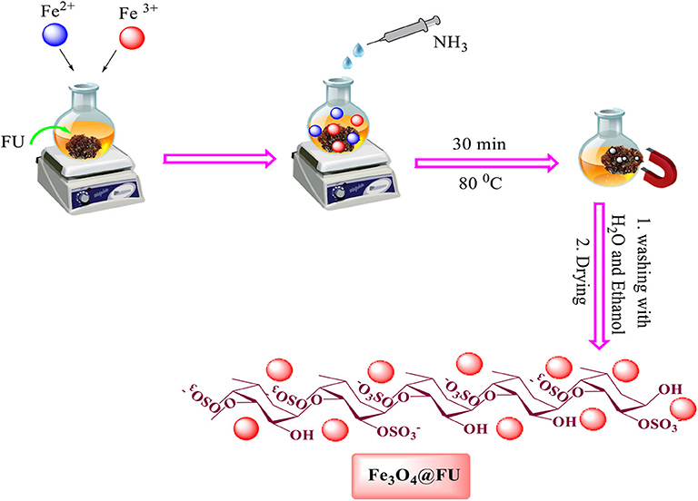Frontiers Synthesis Characterization And Catalytic Properties Of Magnetic Fe3o4 Fu A Heterogeneous Nanostructured Mesoporous Bio Based Catalyst For The Synthesis Of Imidazole Derivatives Chemistry