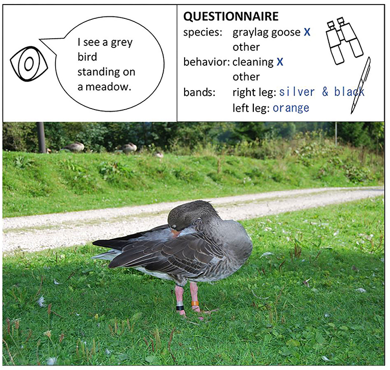Figure 2 - When working together, researchers and citizen scientists need to agree about what to focus their attention on.