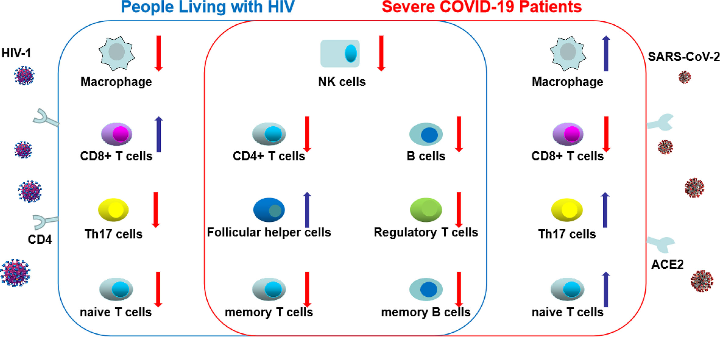 Hiv- 1 y 2 no reactivo que significa