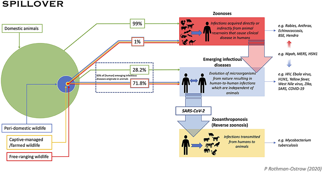 SARS-CoV-2 incidence, transmission, and reinfection in a rural and