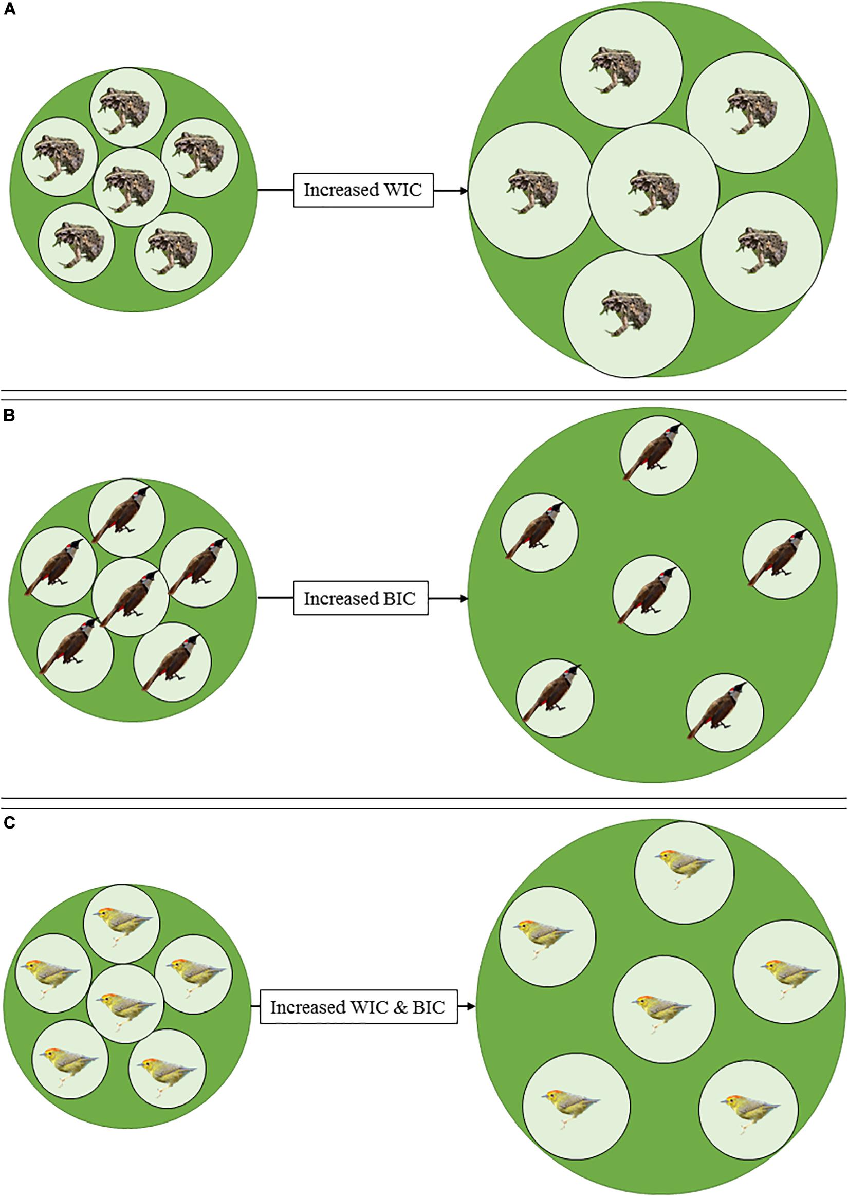 define niche variation hypothesis