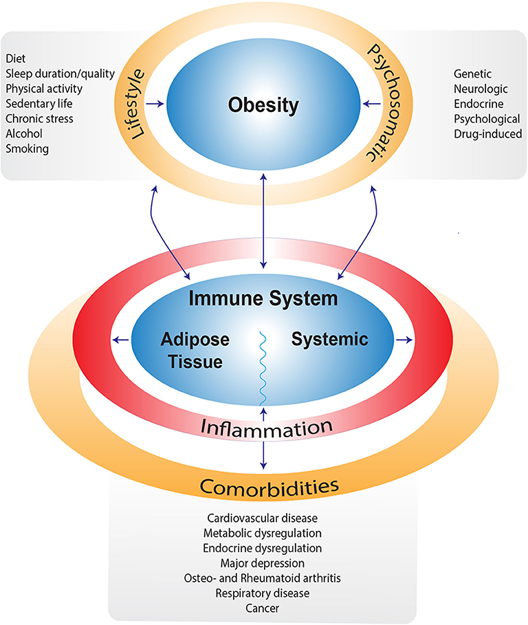 Bronchiectasis Patients Exhibit Higher Sedentary Life-Styles and