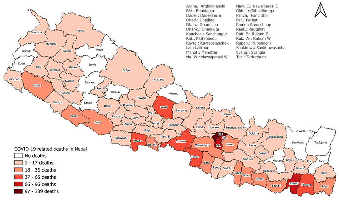 covid 19 nepal essay