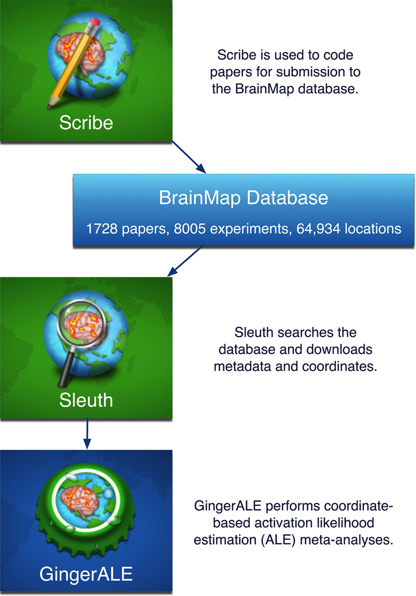 thebrain 9 db file location