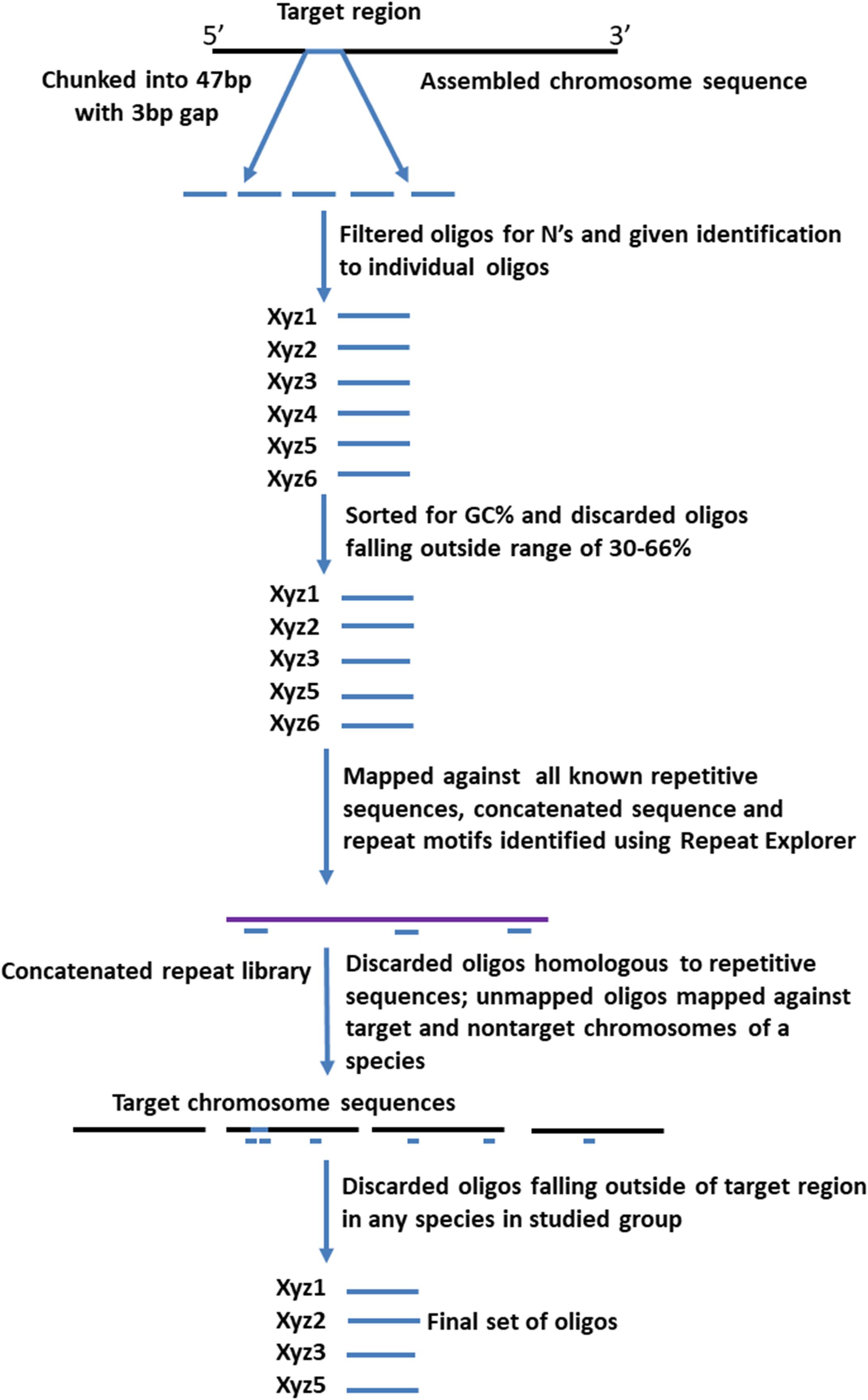 Frontiers Identification Of Chromosomes And Chromosome Rearrangements In Crop Brassicas And Raphanus Sativus A Cytogenetic Toolkit Using Synthesized Massive Oligonucleotide Libraries Plant Science