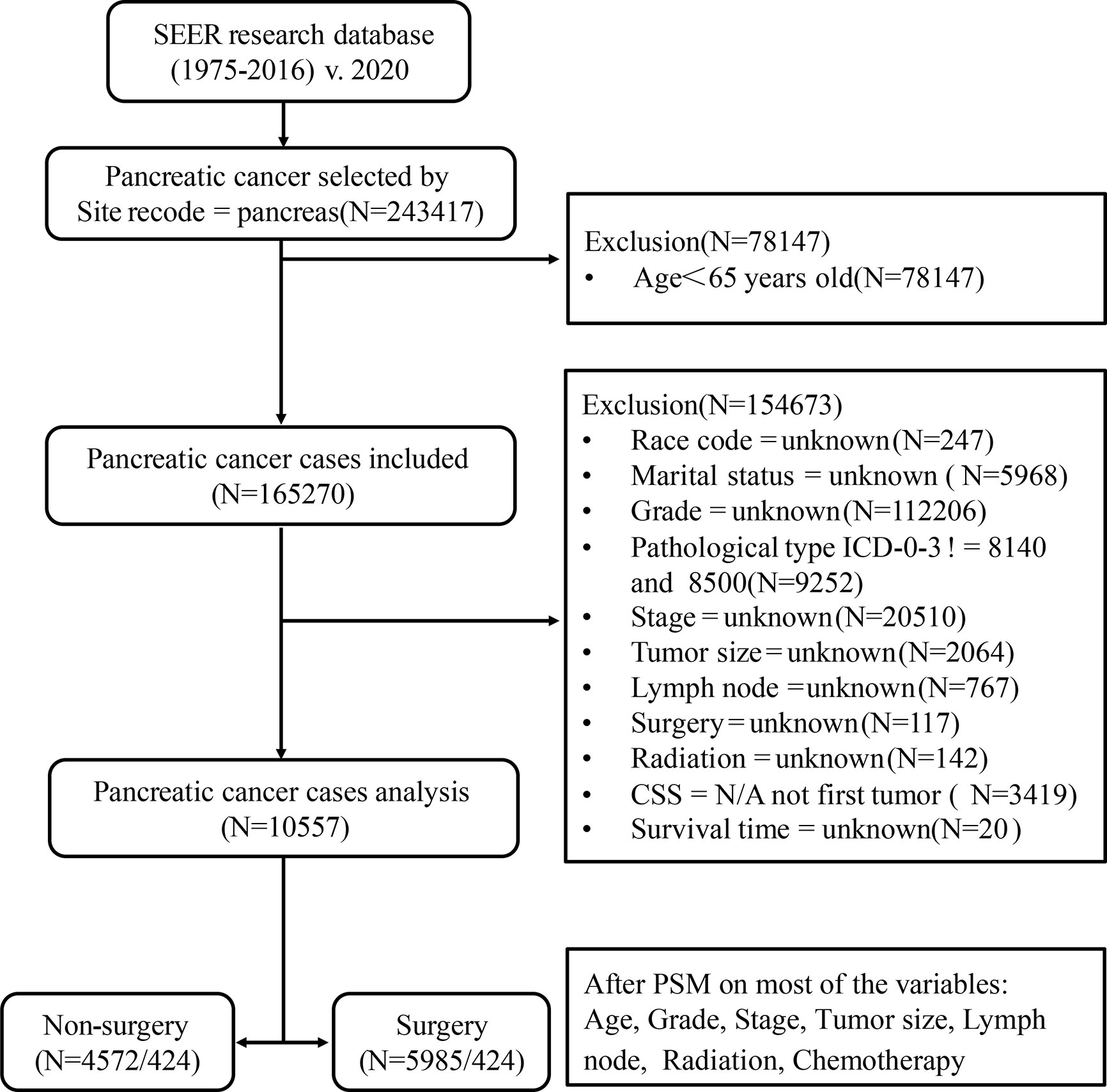 Pancreatic cancer elderly