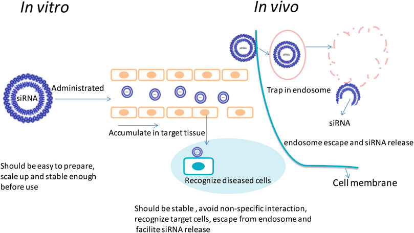 Frontiers  Rationale and Application of PEGylated Lipid-Based System for  Advanced Target Delivery of siRNA