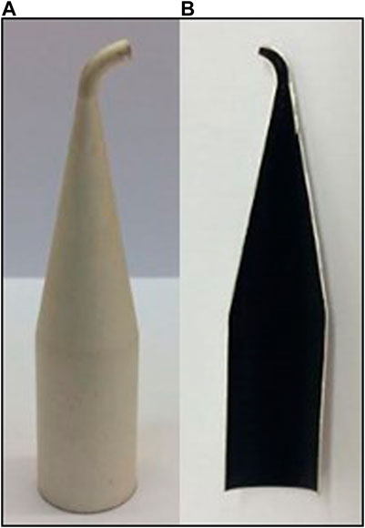 www.frontiersin.org