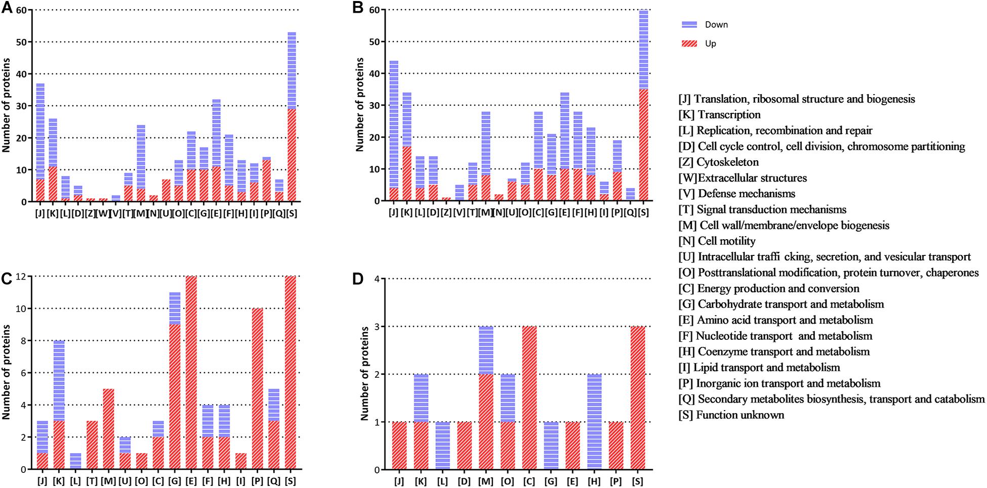 Frontiers Proteomic Analysis Of Stationary Growth Stage Adaptation And Nutritional Deficiency Response Of Brucella Abortus Microbiology