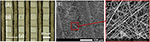 fibrous scaffolds fibrous scaffolds