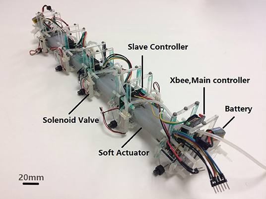 1: The snake robot ACM III (left), which was the world's first snake