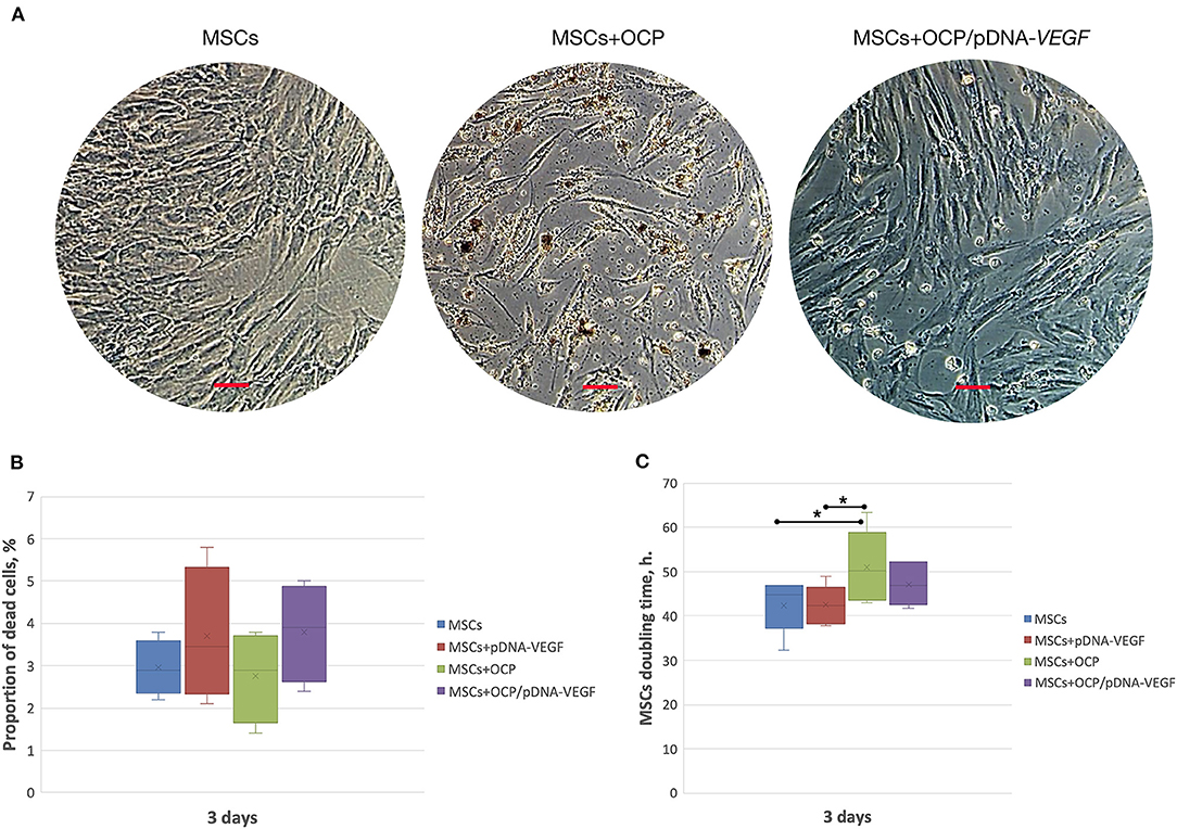 Гаряев матрица кости мышцы суставы. Frontiers Journal. Gross Factor and Bone Matrix.